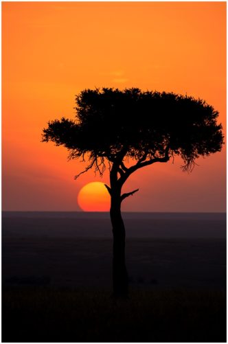 African Sunset signed limited edition framed print by Paul Haddon