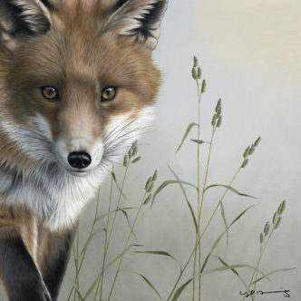 Nigel Hemming Fox