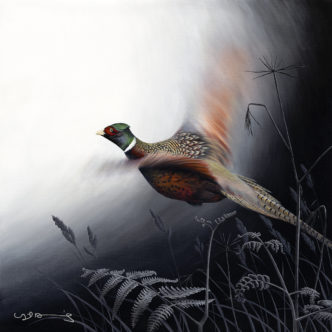 Pheasant (In Flight Series)