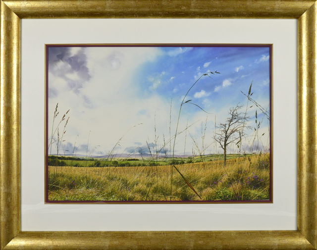Grass on the Moors (Original) john Skinner