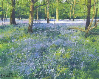 Bluebell Wood by Richard Thorn