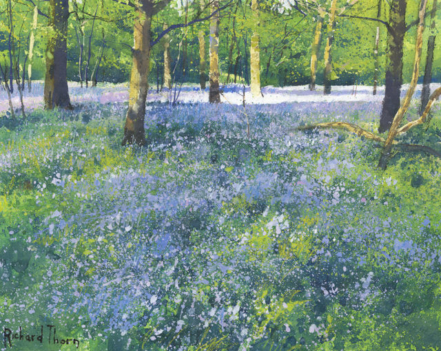 Bluebell Wood by Richard Thorn