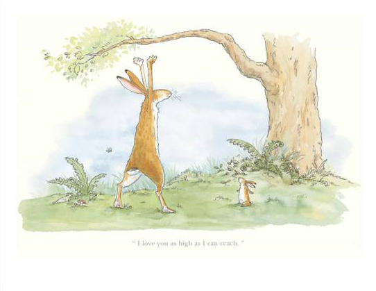 I Love You As High As I Can Reach by Anita Jeram