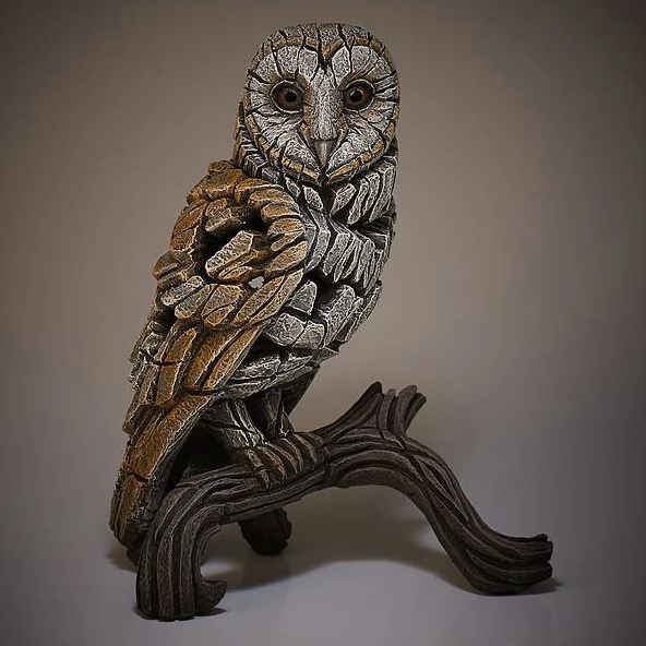 Barn Owl by Matt Buckley Matt Buckley