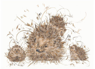 Hedgie & The Hoglets by Aaminah Snowdon