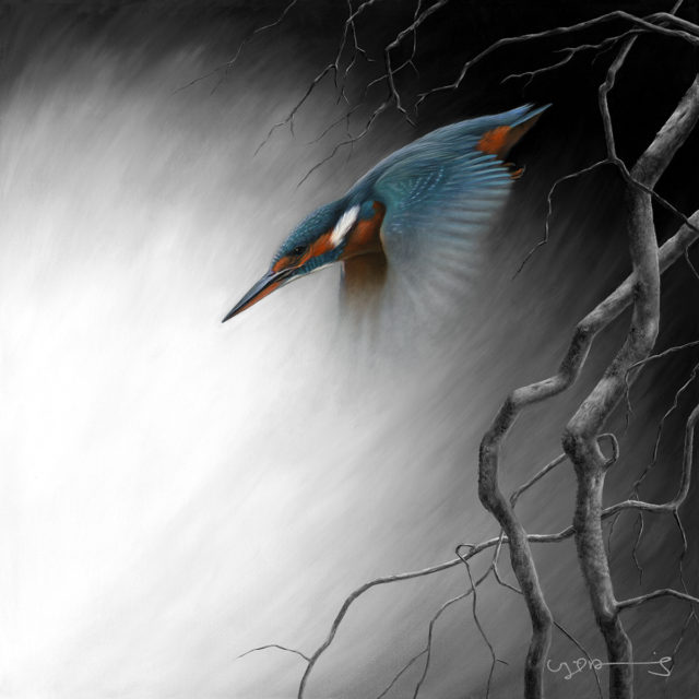 Kingfisher (In Flight Series)
