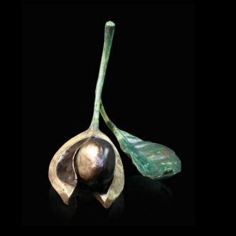 Single Conker with Leaf Solid Bronze Sculpture by Mike Simpson