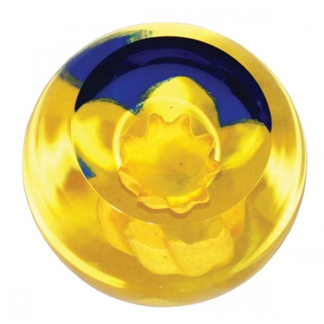 Floral Charm Daffodil by Caithness Glass