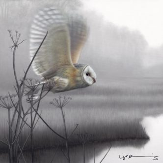 Owl Taking Flight by Nigel Hemming