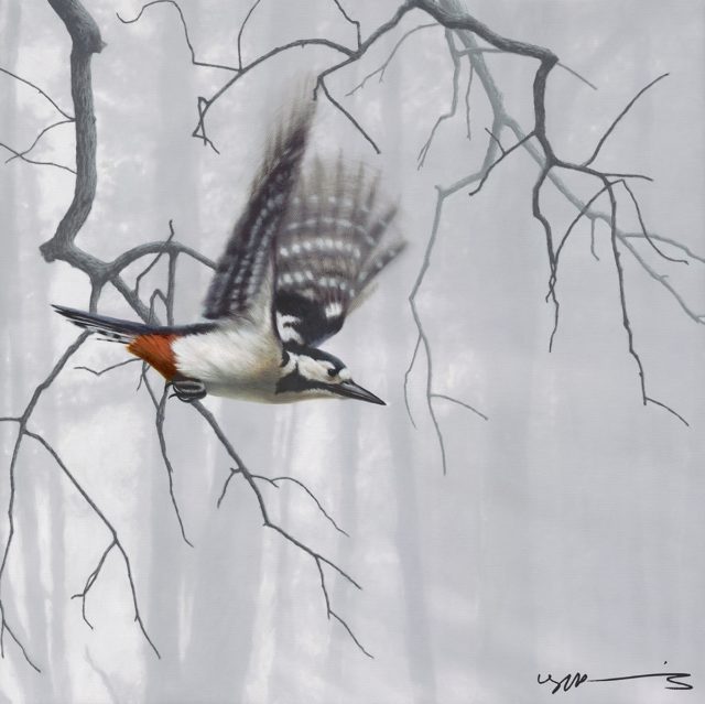 Woodpecker Taking Flight by Nigel Hemming