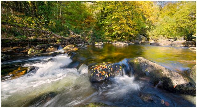 Autumn on the River - Dartmoor Framed limited edition print