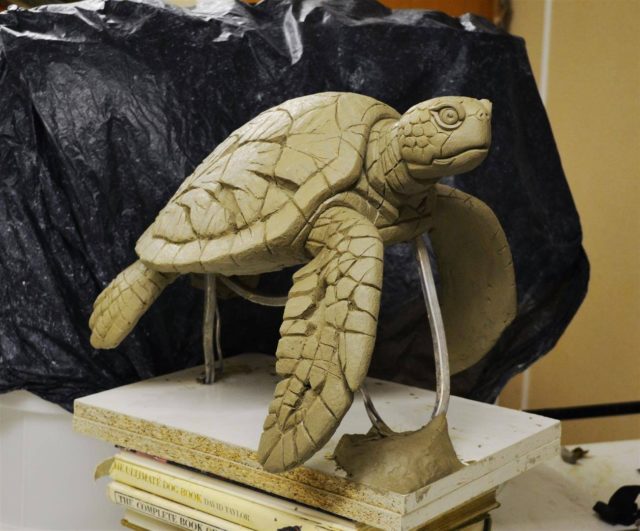 Sea Turtle Sculpture by Matt Buckley, Edge, Robert Harrop Designs.