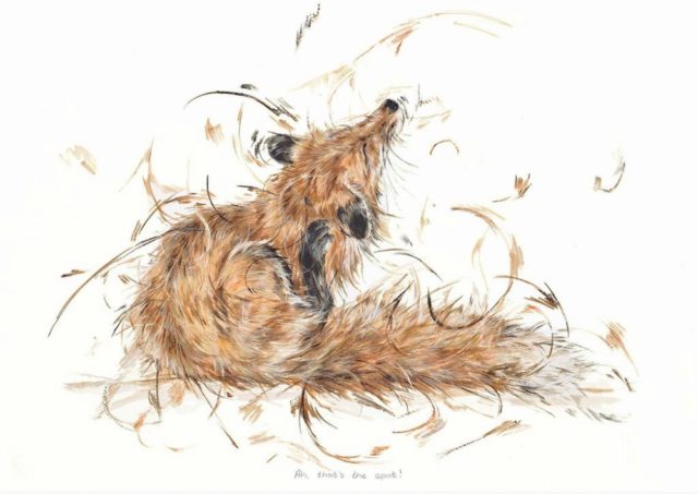 Ah, That's The Spot by Aaminah Snowdon fox art, vixen