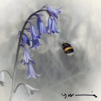 Bluebell - Buff Tail Bee by Nigel Hemming