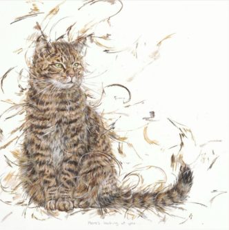 Has Anyone Seen Eggbert? by Aaminah Snowdon cat art tabby