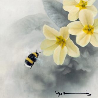Primrose - White Tail Bee by Nigel Hemming