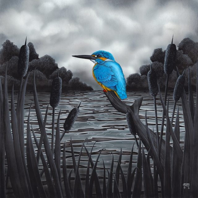 Gone Fishing Kingfisher (Hand Embellished) print by Tamsin Evans Torquay Devon