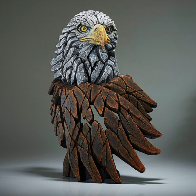 Bald Eagle by Edge