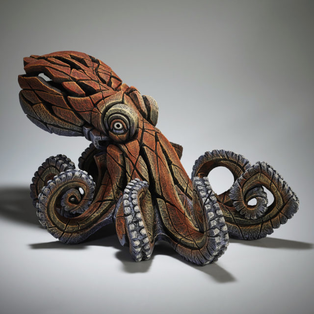Edge Octopus Matt Buckley
