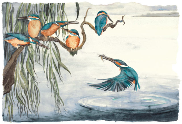 The Lost Words Kingfishers by Jackie Morris