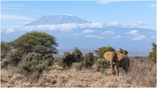At the Foot of Kilimanjaro Paul Haddon Photography