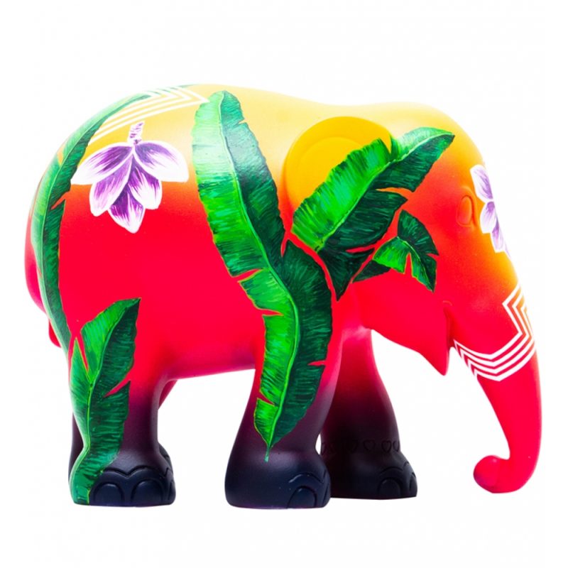 Elephas Musa
