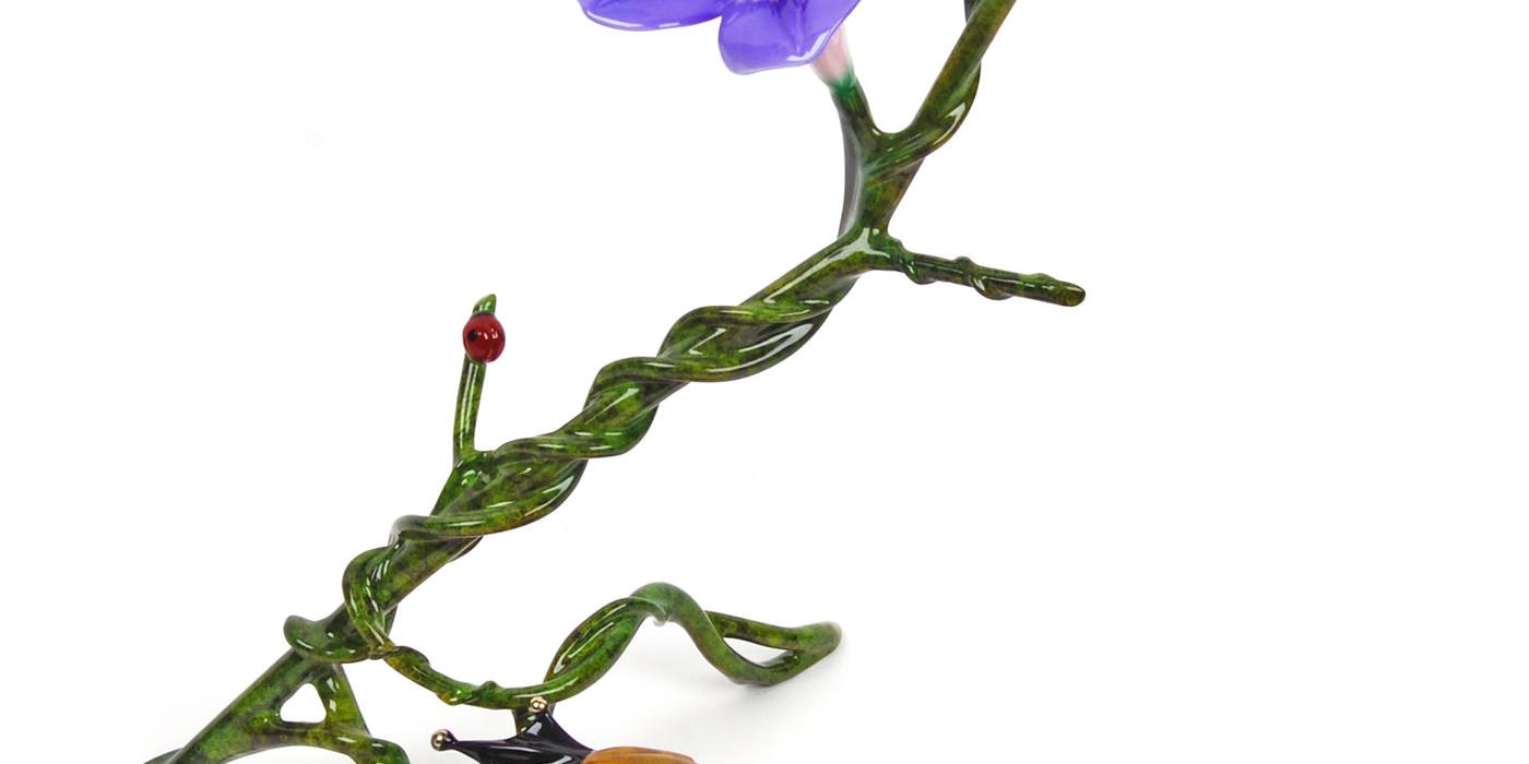 Morning Glory - Image 5