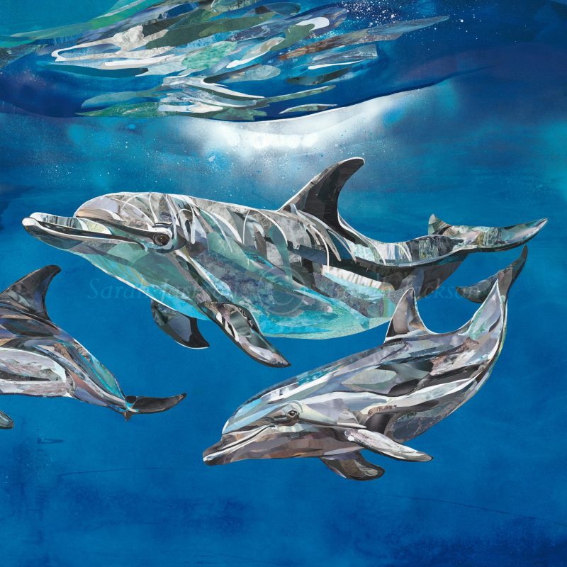 Sarah Jackson Art