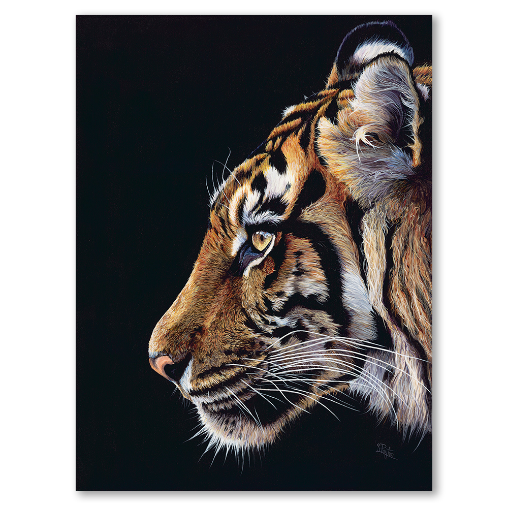 asia-sue-payton-art-tiger-canvas-on-board-framed-wall-art-print