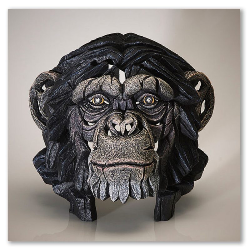 chimpanzee-bust-edge-sculpture-matt-buckley