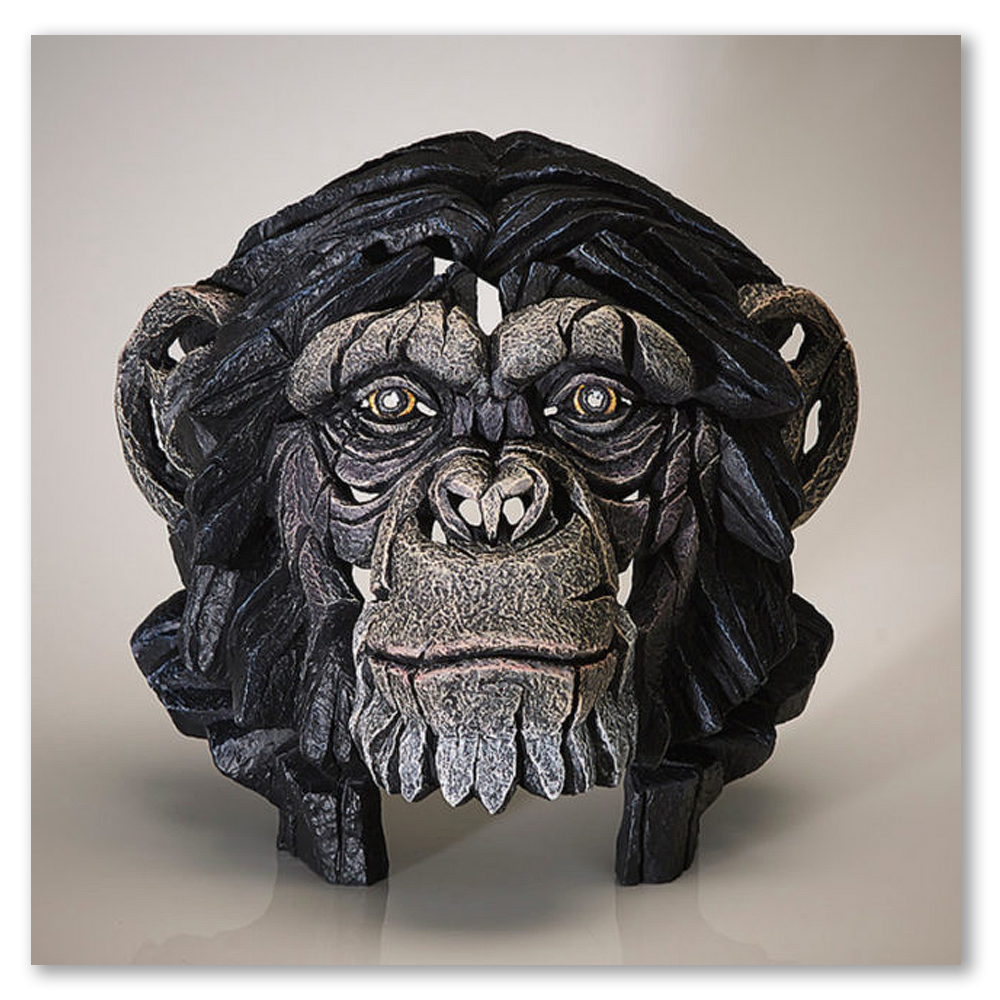 chimpanzee-bust-edge-sculpture-matt-buckley