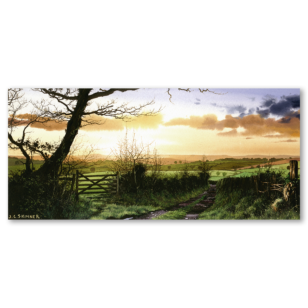 devon-lane-dartmoor-john-skinner-art-dartmoor-landscape-