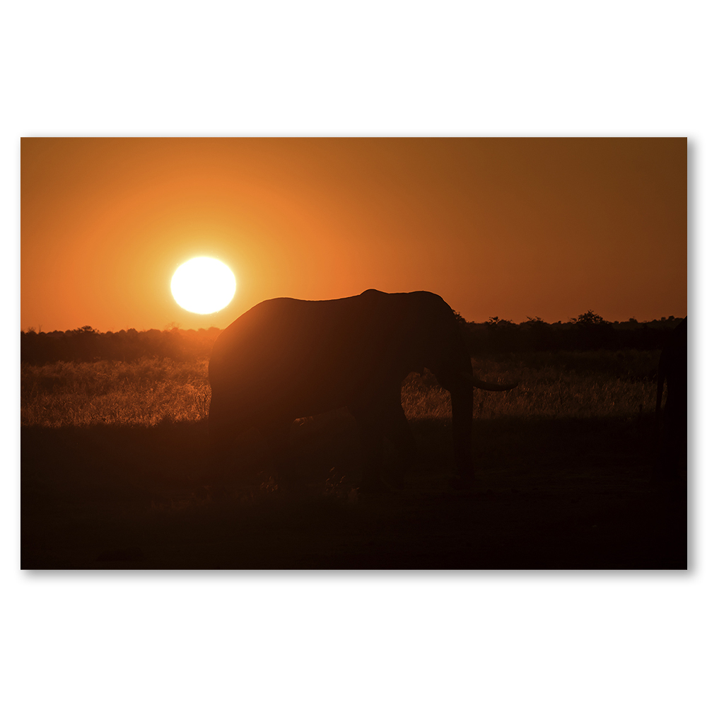 end-of-a-perfect-day-fiona-haddon-african-sunset-elephants-framed-wall-art