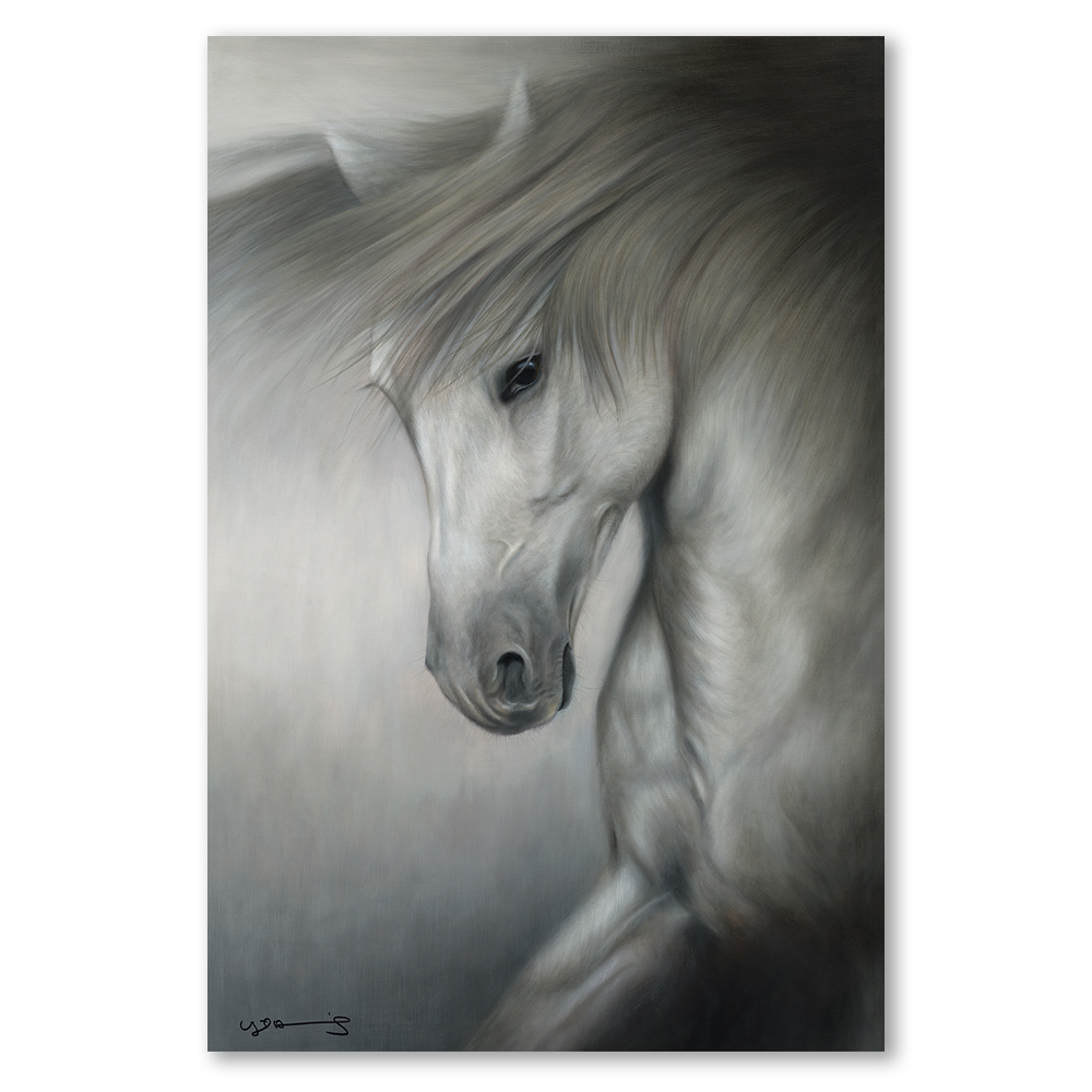 freedon-horse-nigel-hemming-art-framed-wildlife-nature-wall-art-prints