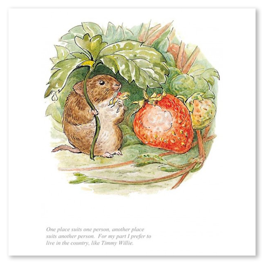 i-prefer-to-live-in-the-country-beatrix-potter