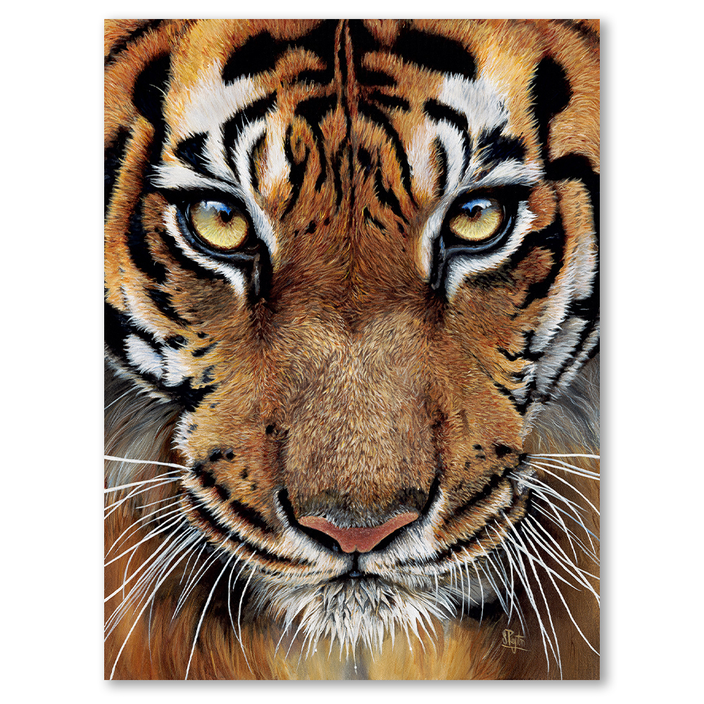 indira-sue-payton-art-tiger-framed-wall-art-print