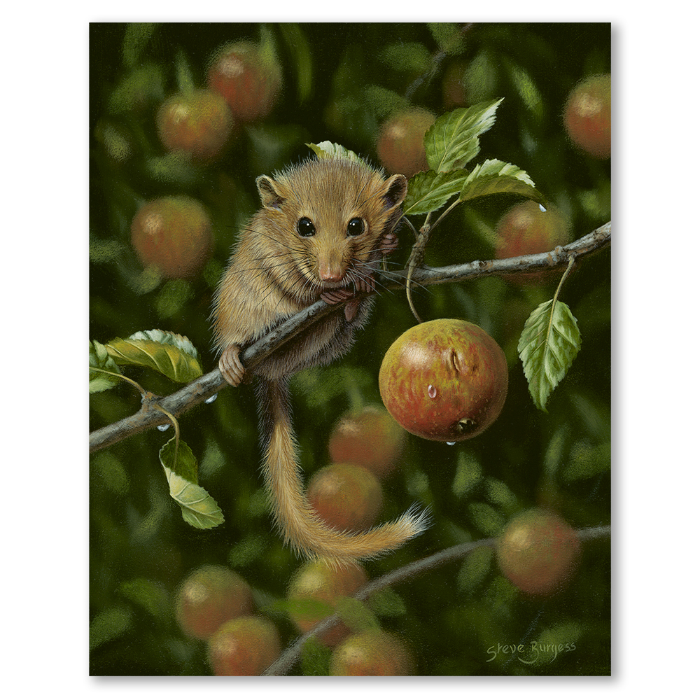 its-all-mine-wildlife-steve-burgess-art-framed-wall-art-print