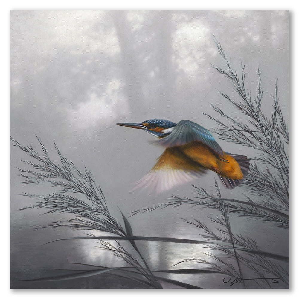 kingfisher-nigel-hemming-art-framed-wildlife-nature-wall-art-prints