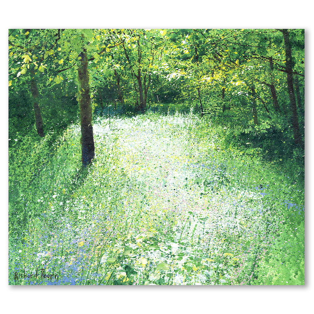 path-of-light-richard-thorn-landscape-nature-riverscape-seascapes-framed-wall-art-prints-devon-cornwall-woodland-english-countryside-limited-edition