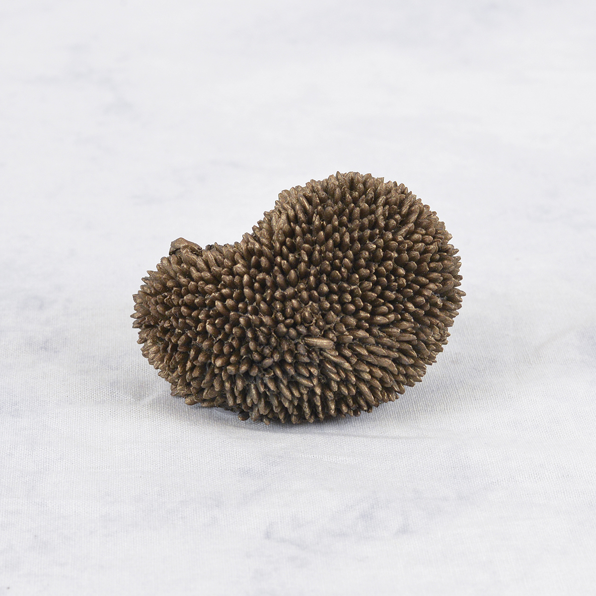 Dizzy the Hoglet - Image 2