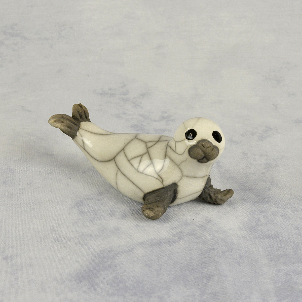 Seal Pup on Flippers