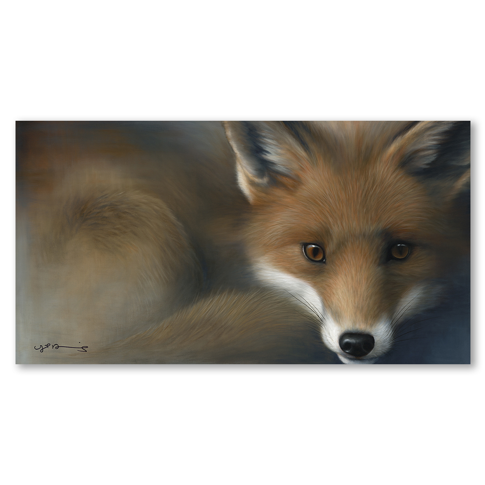 vixen-fox-nigel-hemming-art-framed-wildlife-nature-wall-art-prints