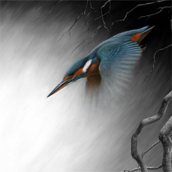 Nigel Hemming Art