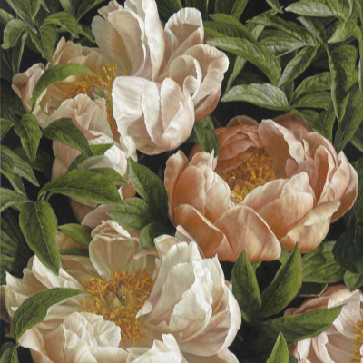 Mia Tarney Art