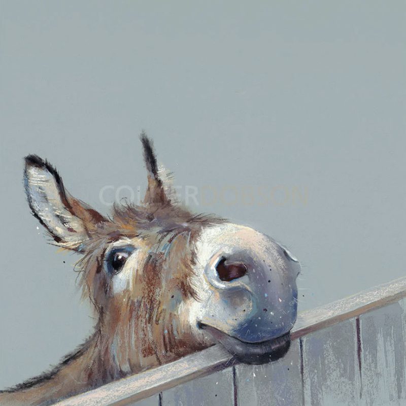 Nicky Litchfield Art