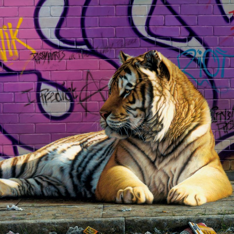 Paul James Art
