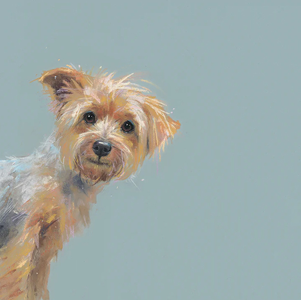 Nicky Litchfield Art