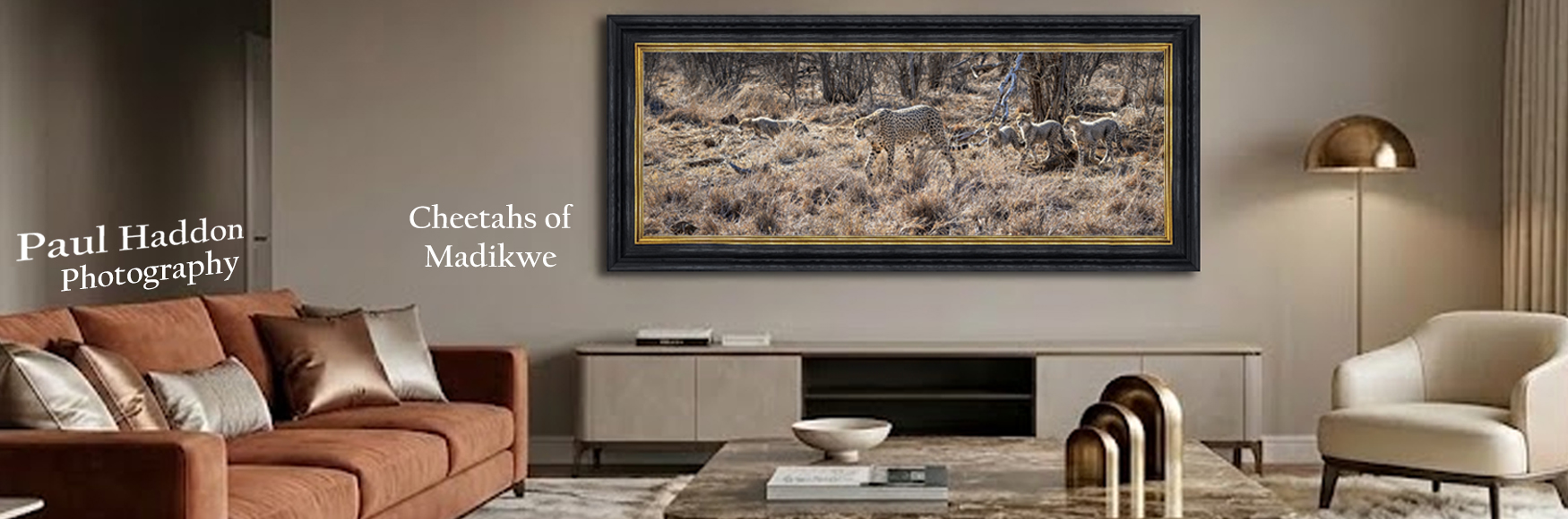 Paul Haddon Cheetahs of Madikwe Canvas Limied Edition framed